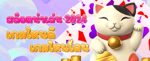 โบนัสเติมเงินรายวัน 20% promotion banner